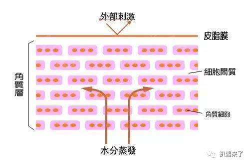 二姐张歆艺状态也太逆天了吧<strong></p>
<p>币姐秘密</strong>！细扒下二姐时尚秘密