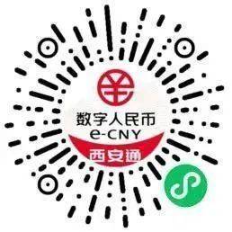 全国首发<strong></p>
<p>全币通</strong>！“数字人民币西安通”平台上线试运行
