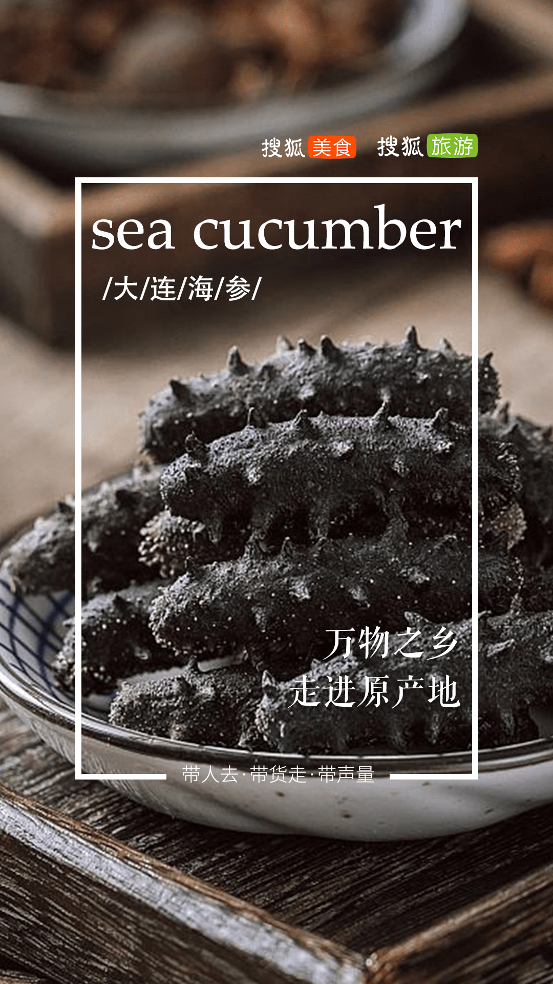 来自大海里的珍宝<strong></p>
<p>海岛币</strong>，大连海参了解一下