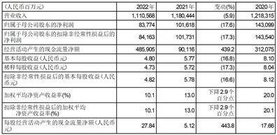 中国平安保险（集团）股份有限公司2022年度报告摘要