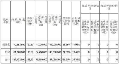 浙江司太立制药股份有限公司 关于控股股东股票质押式回购交易展期的公告