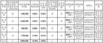 股票代码：002138 股票简称：顺络电子 编号：2024-002