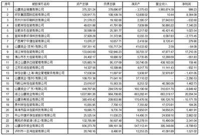 股票简称：山鹰国际 股票代码：600567 公告编号：临2024-039 债券简称：山鹰转债 债券代码：110047 债券简称：鹰19转债 债券代码：110063