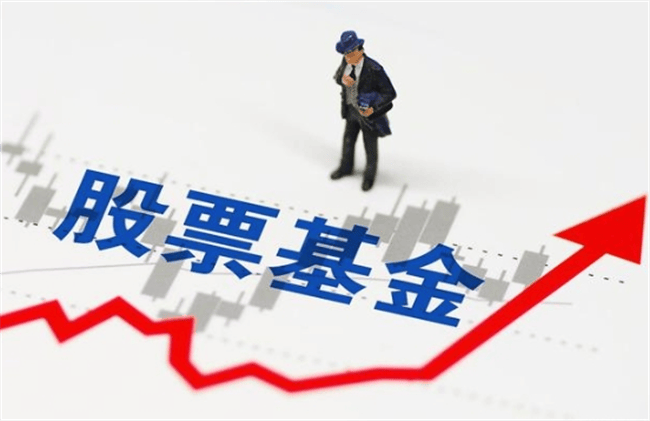 股票型基金和股票有什么区别<strong></p>
<p>股票和基金</strong>？