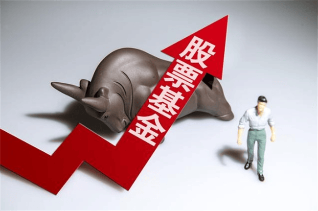 股票型基金和股票有什么区别<strong></p>
<p>股票和基金</strong>？
