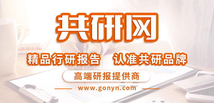 中国国产商品出海市场全景调研与投资分析报告