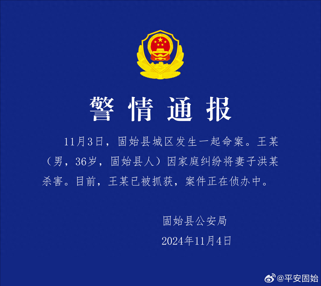 “女子去前夫家探望小孩被杀害<strong></p>
<p>如何买股票新手入门</strong>？”河南警方通报