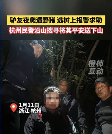 “我现在在树上<strong></p>
<p>STEPN</strong>，野猪在下面……”杭州一男子深夜报警！