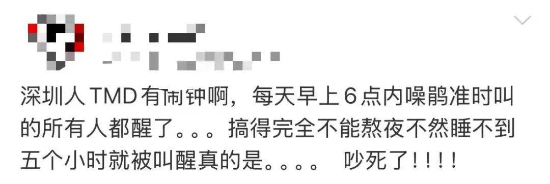 “周末想睡个懒觉都不行”<strong></p>
<p>房产证</strong>，有多少深圳人被这种鸟吵到神经衰弱