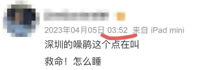 “周末想睡个懒觉都不行”<strong></p>
<p>房产证</strong>，有多少深圳人被这种鸟吵到神经衰弱