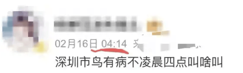 “周末想睡个懒觉都不行”<strong></p>
<p>房产证</strong>，有多少深圳人被这种鸟吵到神经衰弱