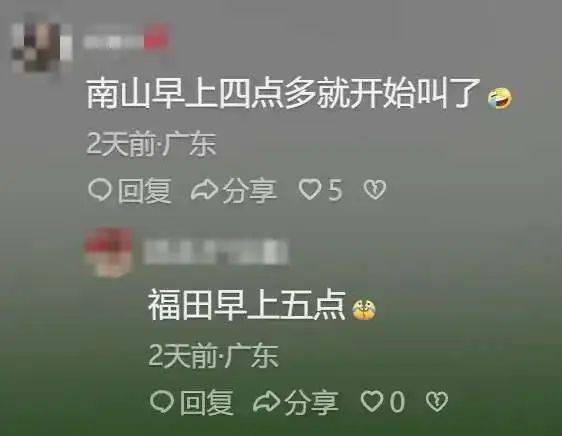 “周末想睡个懒觉都不行”<strong></p>
<p>房产证</strong>，有多少深圳人被这种鸟吵到神经衰弱