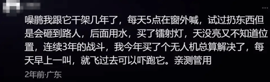 “周末想睡个懒觉都不行”<strong></p>
<p>房产证</strong>，有多少深圳人被这种鸟吵到神经衰弱