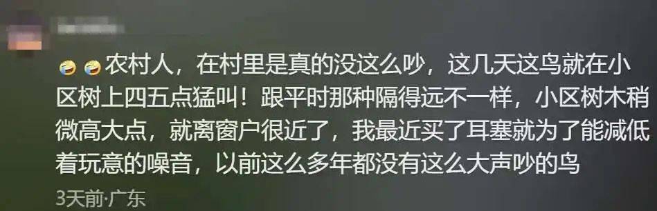 “周末想睡个懒觉都不行”<strong></p>
<p>房产证</strong>，有多少深圳人被这种鸟吵到神经衰弱