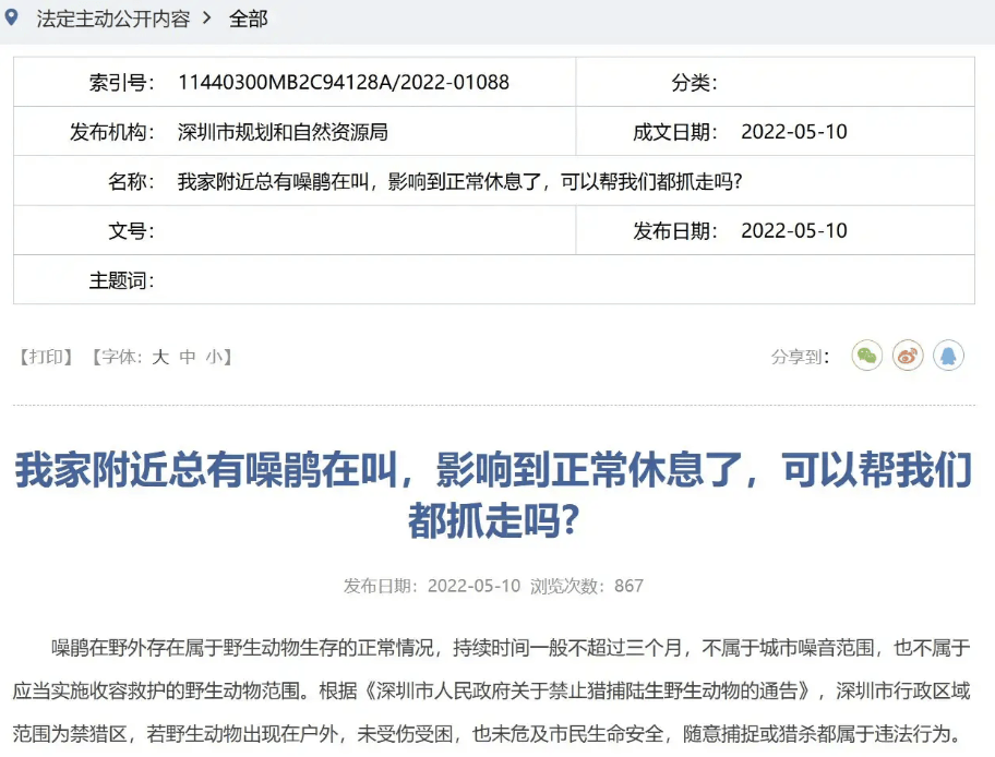 “周末想睡个懒觉都不行”<strong></p>
<p>房产证</strong>，有多少深圳人被这种鸟吵到神经衰弱