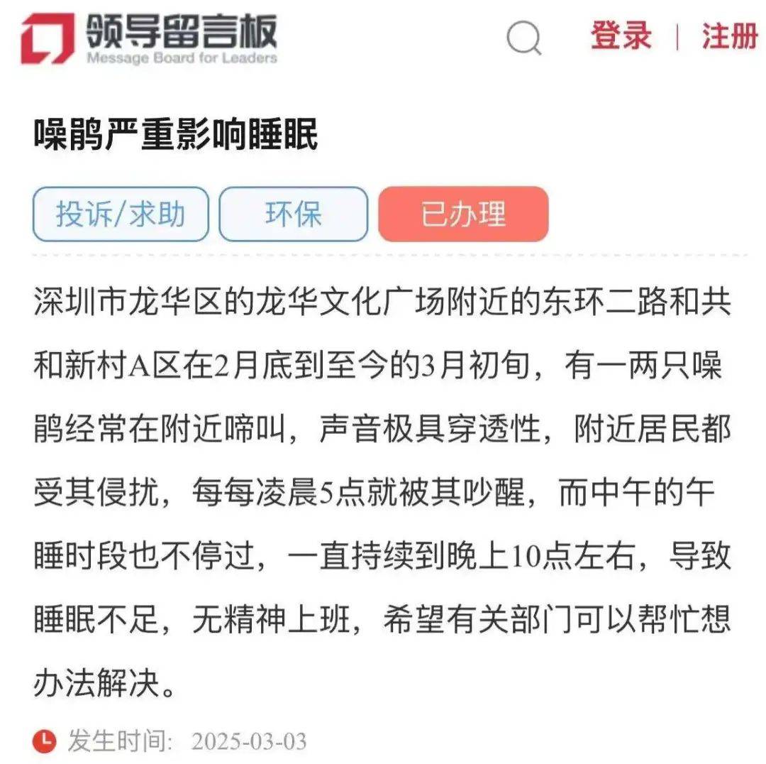“周末想睡个懒觉都不行”<strong></p>
<p>房产证</strong>，有多少深圳人被这种鸟吵到神经衰弱