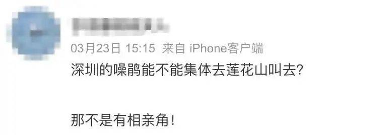 “周末想睡个懒觉都不行”<strong></p>
<p>房产证</strong>，有多少深圳人被这种鸟吵到神经衰弱