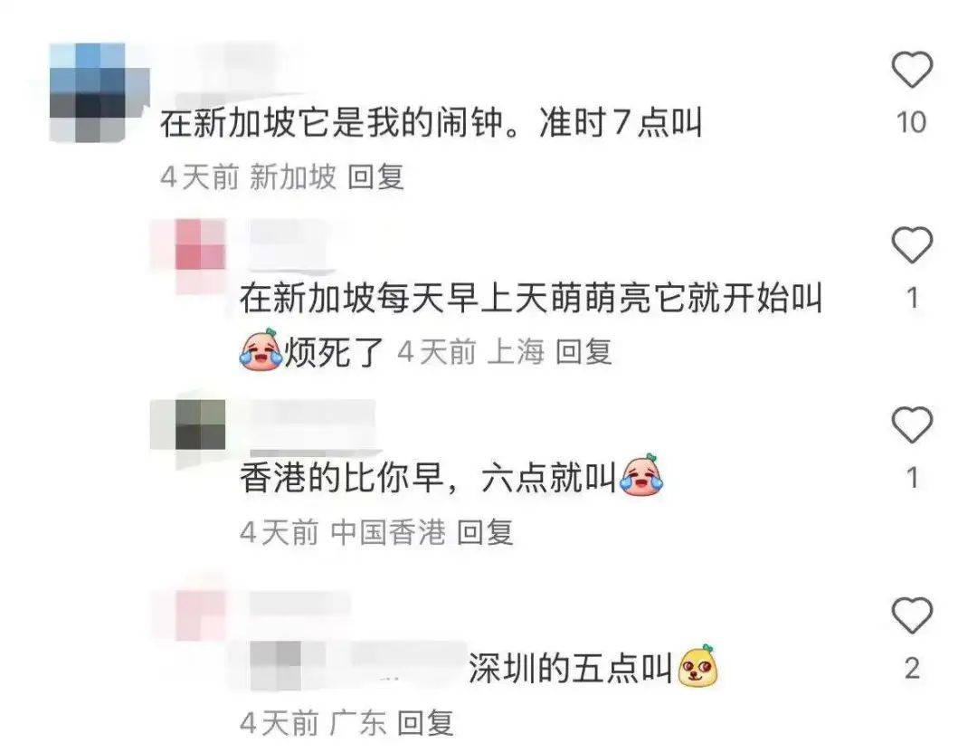 “周末想睡个懒觉都不行”<strong></p>
<p>房产证</strong>，有多少深圳人被这种鸟吵到神经衰弱