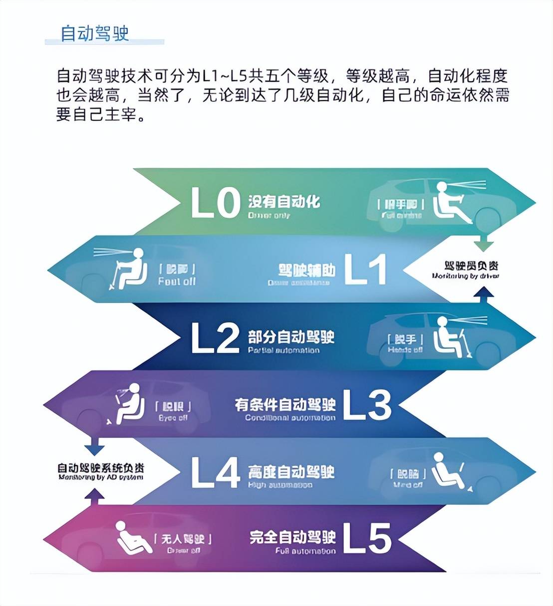 小米汽车<strong></p>
<p>驾驶证</strong>，击碎年轻人的智驾梦？