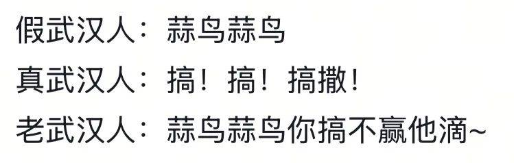 武汉话“蒜鸟”<strong></p>
<p>云南大理</strong>，最近劝（添）架（乱）唯一指定用语