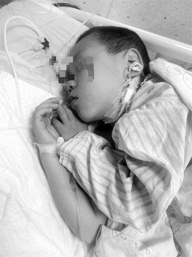 湖南一家6口误食毒蘑菇<strong></p>
<p>usdt行情</strong>，5岁男童不幸去世