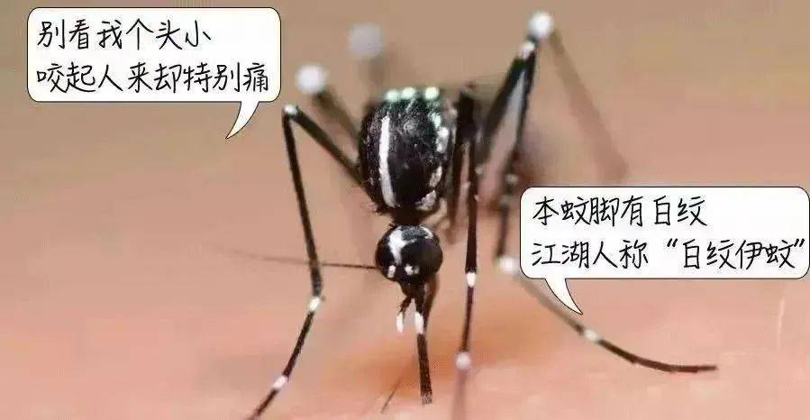 风险增大<strong></p>
<p>币圈十大交易所</strong>！深圳疾控：去这247处要小心！张文宏首次发声