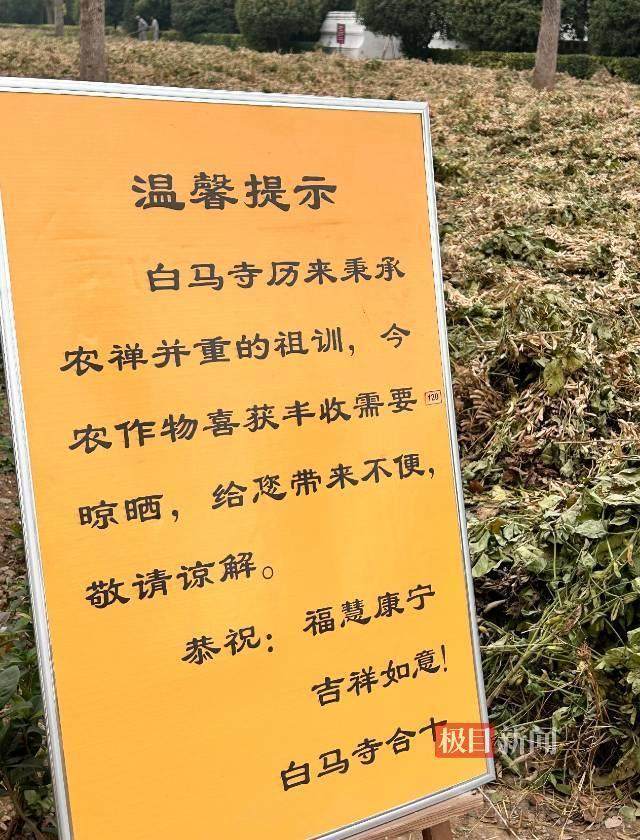 印乐方丈管理下的白马寺：僧人顶着高温种地<strong></p>
<p>币圈新手入门</strong>，义工称寺里秉承农禅并重
