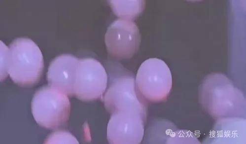 调侃“接受不了生女儿”被骂好几天<strong></p>
<p>币圈新闻</strong>，他自曝差点因此家庭破裂......