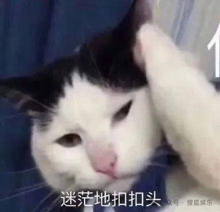 离婚三年又被拍到亲密逛超市<strong></p>
<p>币圈交易所排名</strong>，他俩这是纯带娃还是真复合了？