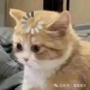 离婚三年又被拍到亲密逛超市<strong></p>
<p>币圈交易所排名</strong>，他俩这是纯带娃还是真复合了？