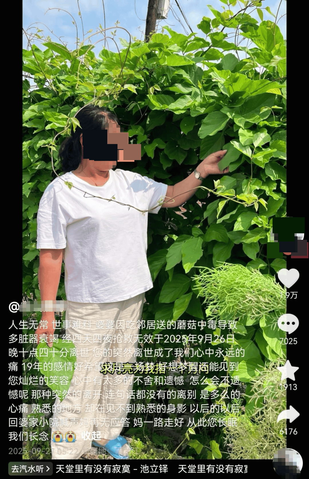 网红发文悼念婆婆：吃了邻居送的蘑菇中毒<strong></p>
<p>加密数字货币</strong>，抢救四天四夜死亡！这些蘑菇避毒原则可能是陷阱→