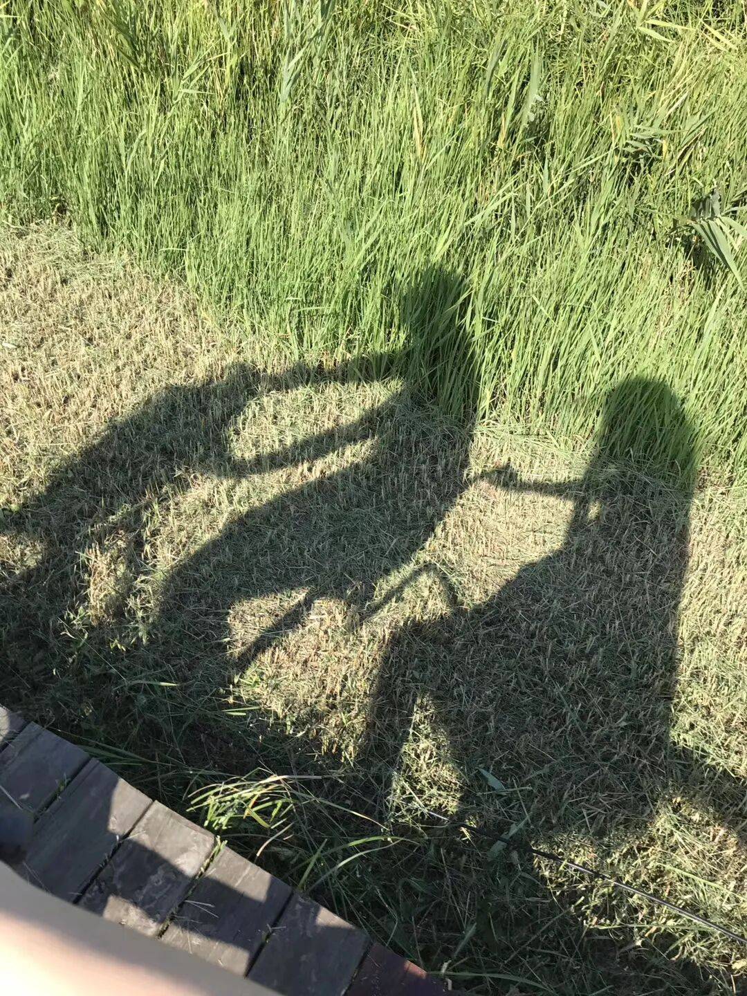 纸质火车票退场<strong></p>
<p>加密货币交易所</strong>，每道折痕里都藏着远方、爱情与山河记忆