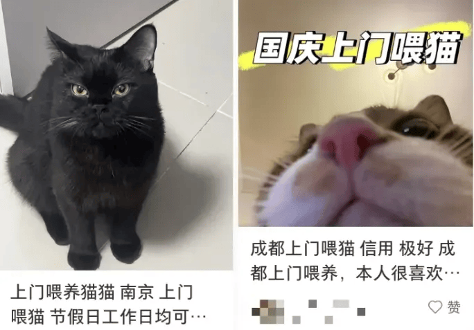 这个需求激增！一男子连接270单<strong></p>
<p>加密货币</strong>，其中一笔收费8100元