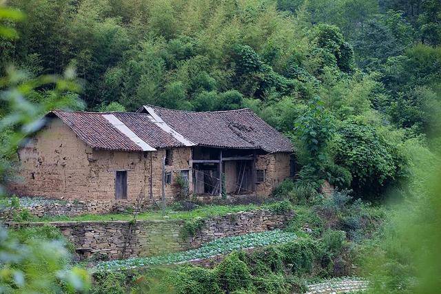 没人住的房子<strong></p>
<p>加密货币</strong>，为什么会“老”得特别快？