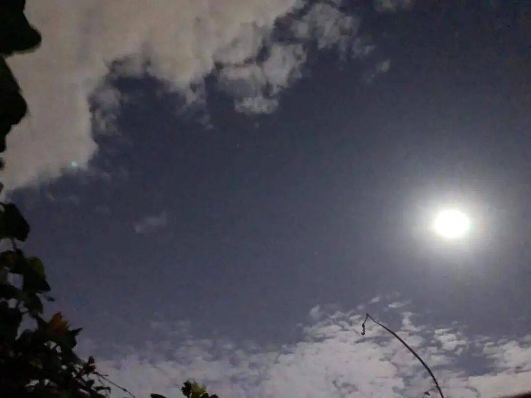 没有什么能阻挡！今天<strong></p>
<p>加密货币</strong>，广西人就是要回家！