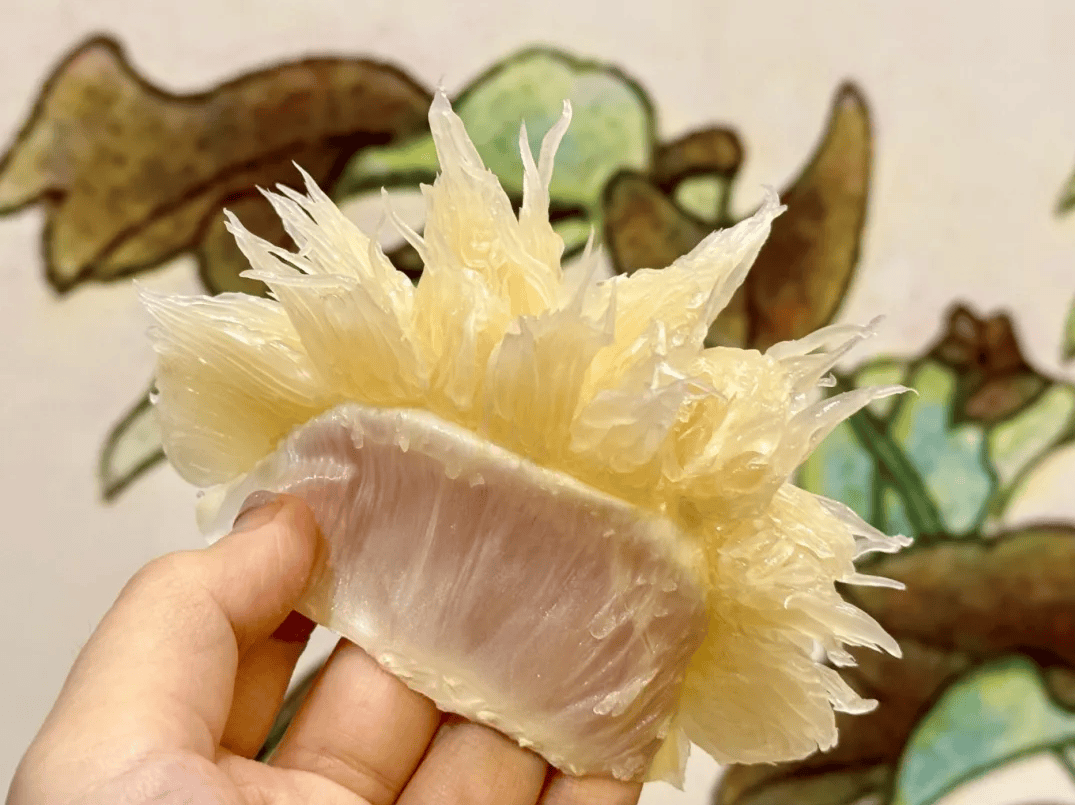 没有什么能阻挡！今天<strong></p>
<p>加密货币</strong>，广西人就是要回家！