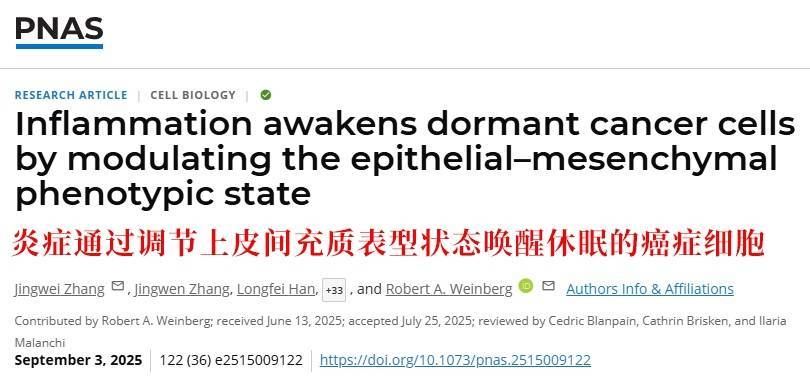 长期炎症会“唤醒”癌细胞<strong></p>
<p>加密货币</strong>！这份抗炎指南每个人都该看看