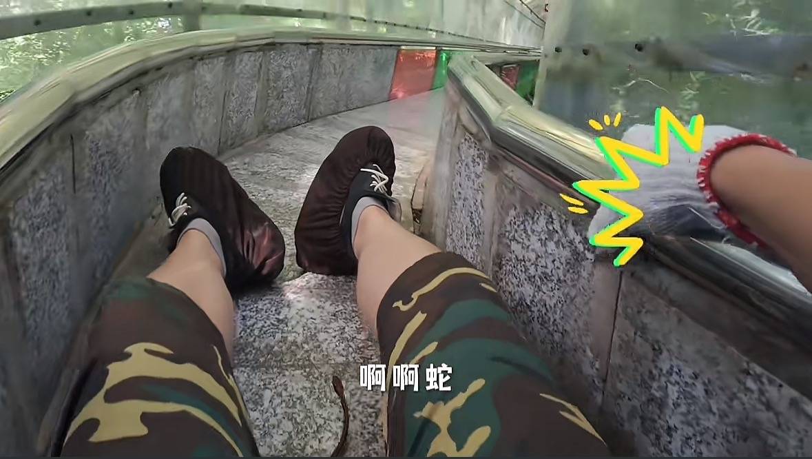 游客称在广西丹炉山滑道遇蛇<strong></p>
<p>加密货币概念股</strong>，景区致歉：这么多年就这一次，每年都做防蛇处理