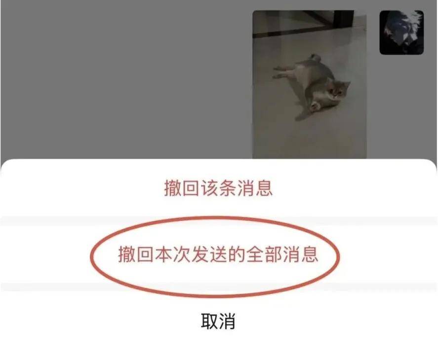 传宗馥莉被带走<strong></p>
<p>加密货币概念股</strong>，娃哈哈董事会成员回应；资深天使投资人因车祸不幸离世；微信灰度测试一次性撤回全部消息；鸡排哥疑似成立工作室丨邦早报