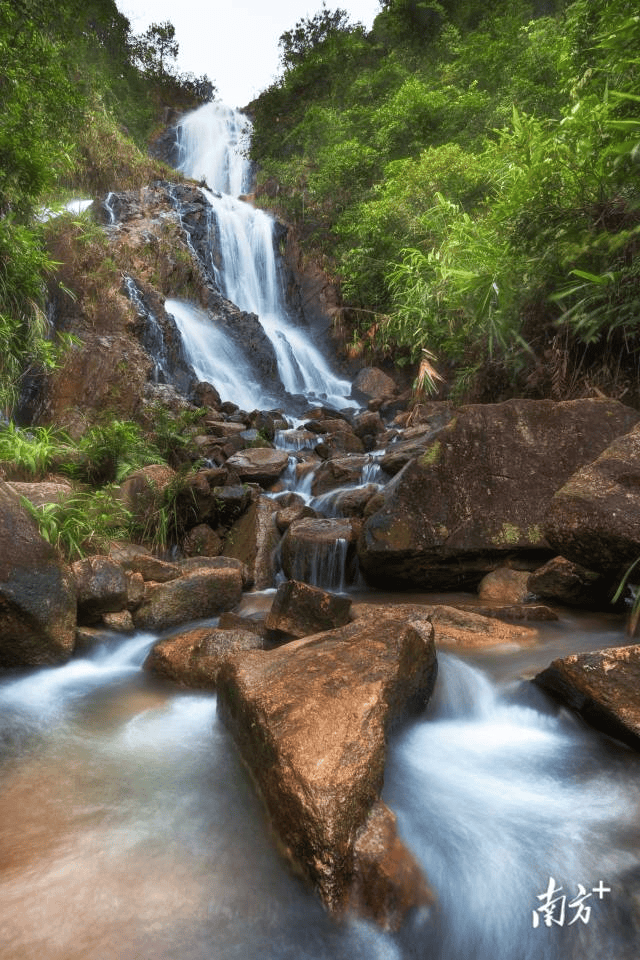 镇街周报｜佛山“双节”文旅成绩单出炉<strong></p>
<p>抹茶交易所</strong>，谁最吸睛