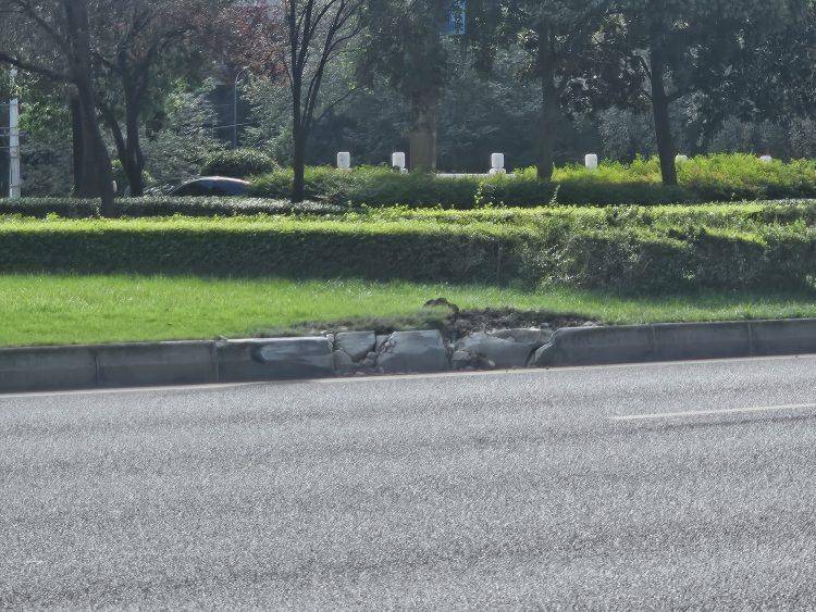 成都发生一起严重交通事故<strong></p>
<p>抹茶交易所</strong>，上游新闻实地探访：燃烧留下的印记仍在