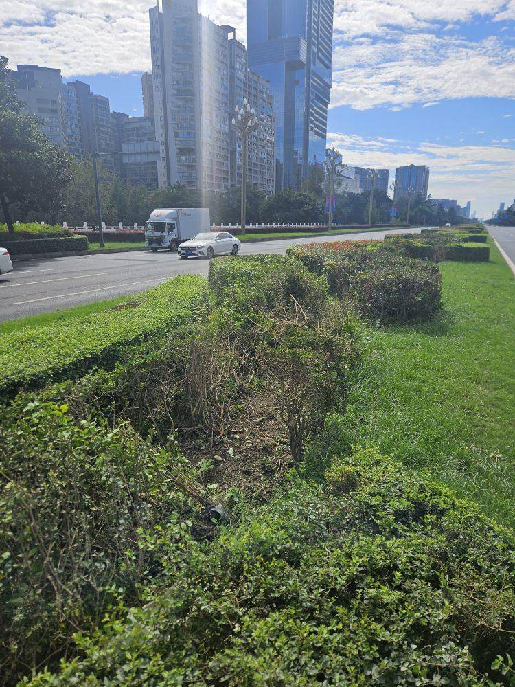 成都发生一起严重交通事故<strong></p>
<p>抹茶交易所</strong>，上游新闻实地探访：燃烧留下的印记仍在