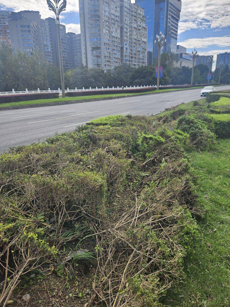 成都发生一起严重交通事故<strong></p>
<p>抹茶交易所</strong>，上游新闻实地探访：燃烧留下的印记仍在