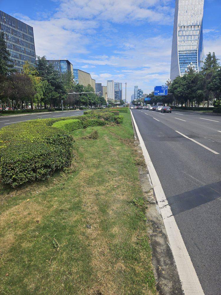成都发生一起严重交通事故<strong></p>
<p>抹茶交易所</strong>，上游新闻实地探访：燃烧留下的印记仍在