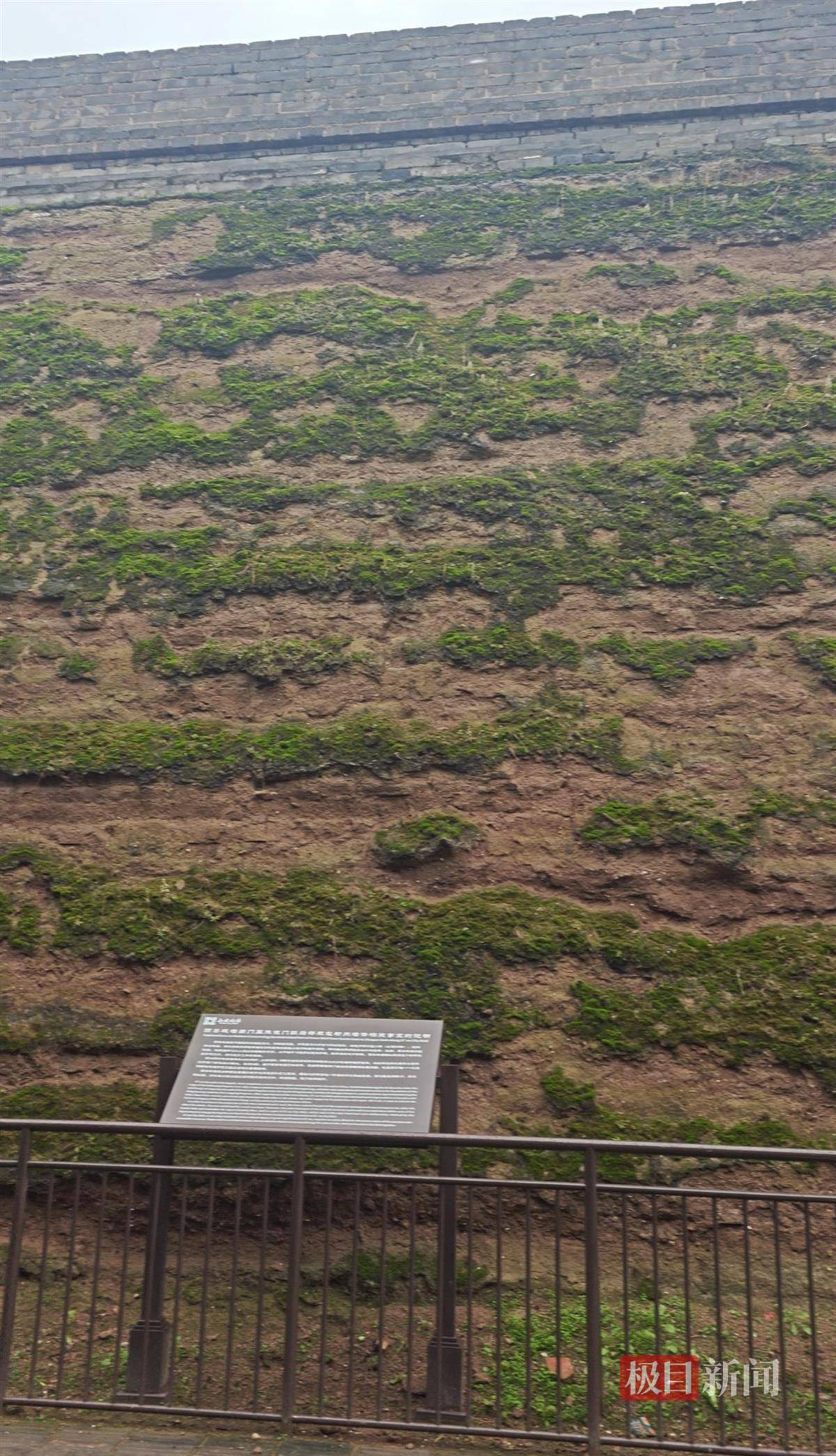 西安连续一个多月降雨遍地长蘑菇<strong></p>
<p>抹茶交易所</strong>，大雁塔受潮，城墙布满青苔，气象局解释成因