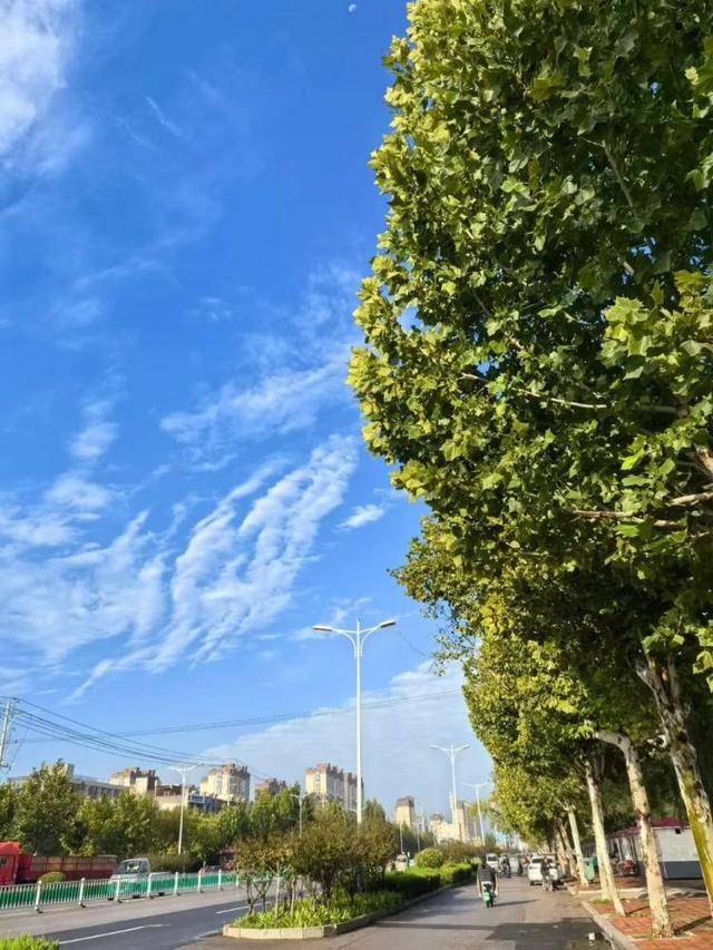 济南<strong></p>
<p>抹茶交易所</strong>，转晴！山东，转晴！好久不见的太阳，来了！
