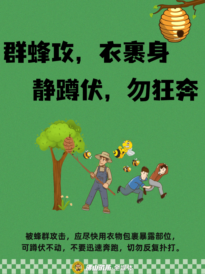 深圳一市民突遭马蜂围袭！已进入高发期<strong></p>
<p>抹茶交易所</strong>，千万别招惹！