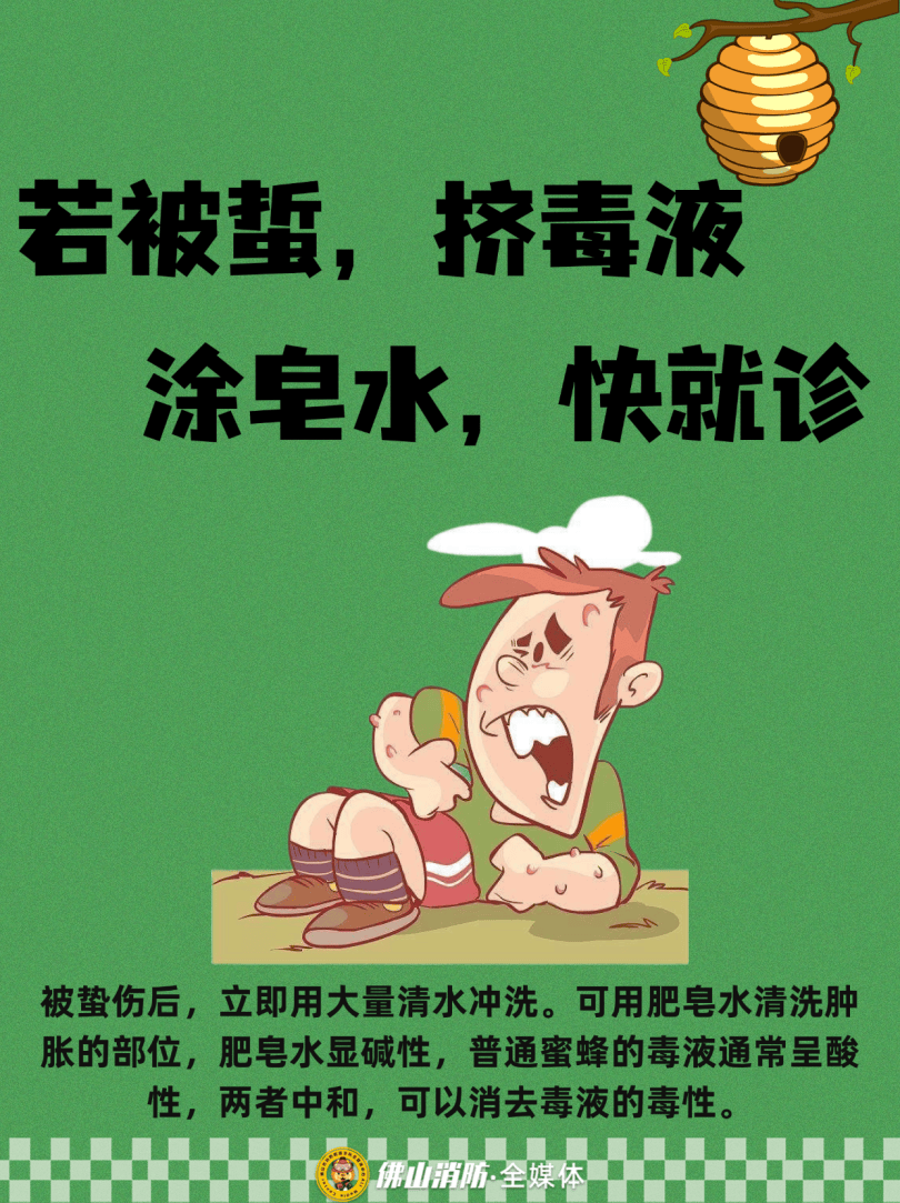 深圳一市民突遭马蜂围袭！已进入高发期<strong></p>
<p>抹茶交易所</strong>，千万别招惹！