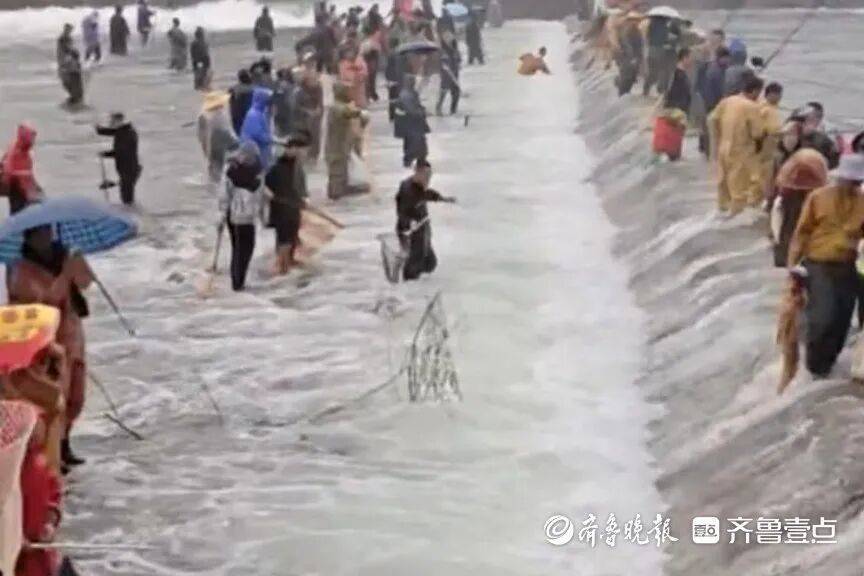 “鱼多得数不过来<strong></p>
<p>区块链</strong>，一网子下去能捞好几条”济南锦绣川水库开闸放水，大量鲢鱼被冲出，工作人员：禁止捕捞！