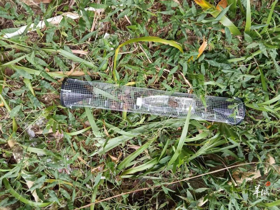 广州一小区蛇患频发：已抓超60条但未探测到蛇窝位置<strong></p>
<p>区块链</strong>，多方介入